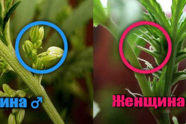 Регистрация на сайте кракен