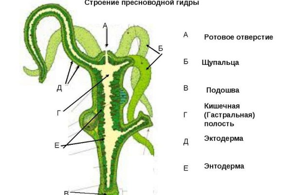 Кракен сайт вход официальный зеркало
