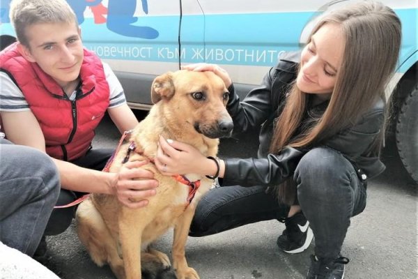 Кракен маркетплейс что продают