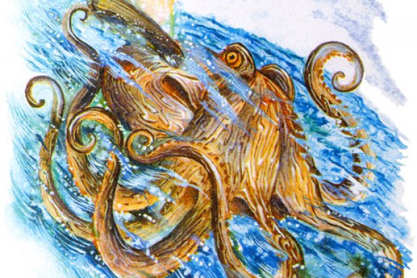 Kraken 1 2