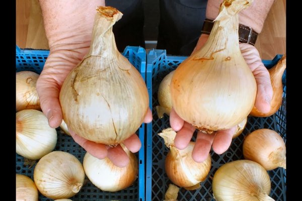 Kraken рабочая ссылка onion