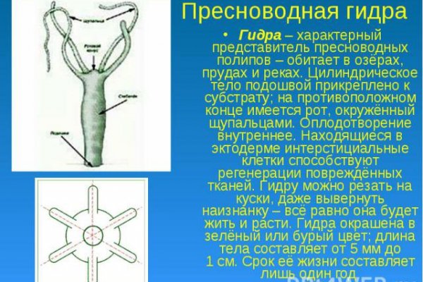 Как восстановить доступ к кракену