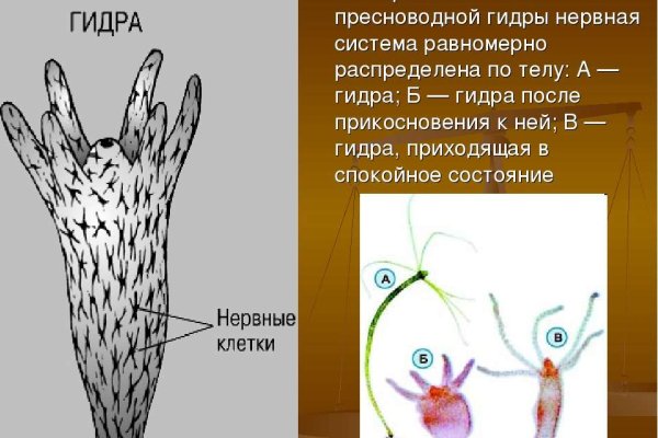 Кракен тор ссылка магазин