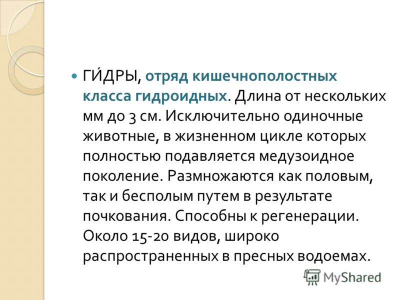 Кракен маркет kr2web in